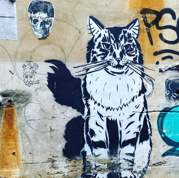 Fotografía tomada por Instagram @elvecinogallo